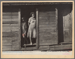 Strawberry growers, Hammond, Louisiana