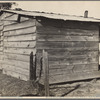 Strawberry grower's shack, Hammond, Louisiana