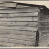 Strawberry grower's shack, Hammond, Louisiana