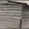 Strawberry grower's shack, Hammond, Louisiana