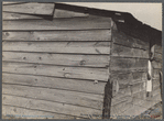 Strawberry grower's shack, Hammond, Louisiana