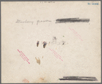 Strawberry growers, Hammond, Louisiana