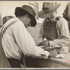 Strawberry growers, Hammond, Louisiana