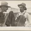 Strawberry growers, Hammond, Louisiana
