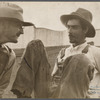 Strawberry growers, Hammond, Louisiana
