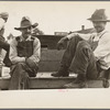Strawberry growers, Hammond, Louisiana