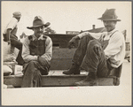 Strawberry growers, Hammond, Louisiana
