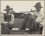 Strawberry growers, Hammond, Louisiana
