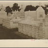 Italian cemetery, Independence, Louisiana