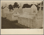 Italian cemetery, Independence, Louisiana