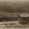Loading coal, Jenkins, Kentucky