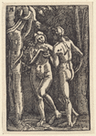 Fall of Man