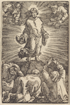 Transfiguration