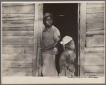 Children of strawberry picker, Hammond, Louisiana