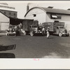 Stock Cooperative Association, central Ohio (see general caption)