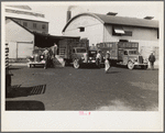 Stock Cooperative Association, central Ohio (see general caption)