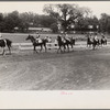 Parading at horse race, Lancaster, Ohio