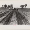 Cultivating corn with two-row cultivator, central Ohio