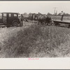 Wheat harvest. Into the field for sheaves of wheat, Central Ohio