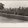 Cemetery, central Ohio
