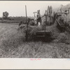 Threshing wheat in central Ohio