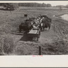 Rack for feeding cattle in central Ohio