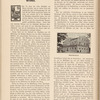 Der Kurländer