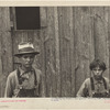 Children of Sam Nichols, tenant farmer, Boone County, Arkansas