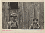 Children of Sam Nichols, tenant farmer, Boone County, Arkansas