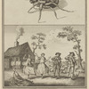 The tarantula, with the method of curing those stung by it, which is effected by music and dancing