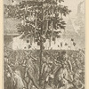 Arbre de la liberté