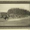 On the Dusty Trail (Camel Train).