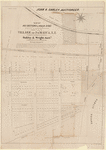 Map of 163 sections or villa sites and a plot of 4 1/3 acres of ground with the mansion & other buildings situated near the centre of the village of Jamaica, L.I