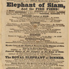 Theatre Royal (Liverpool, England) playbills