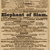 Theatre Royal (Liverpool, England) playbills