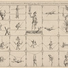 The curious and uncommon performances of a monkey