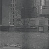 New York, NY