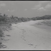 Shoreline