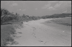 Shoreline
