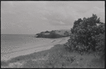 Shoreline
