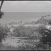 Tropical landscape