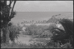 Tropical landscape