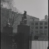 Central Park. New York, NY