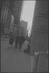 New York, NY