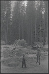 California
