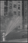 Street scene with open fire hydrant. New York, NY