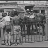 Coney Island. Brooklyn, NY