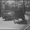 Central Park. New York, NY