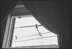 Window. New York, NY