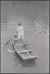 Man in rowboat